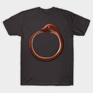 Ouroboros T-Shirt